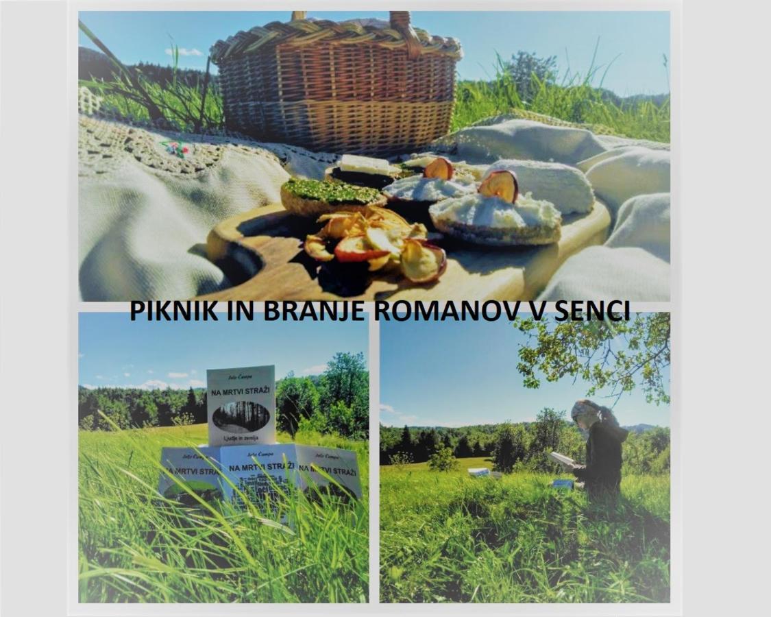 Prenocisca Miklavcic Nova Vas (Bloke) Exterior foto